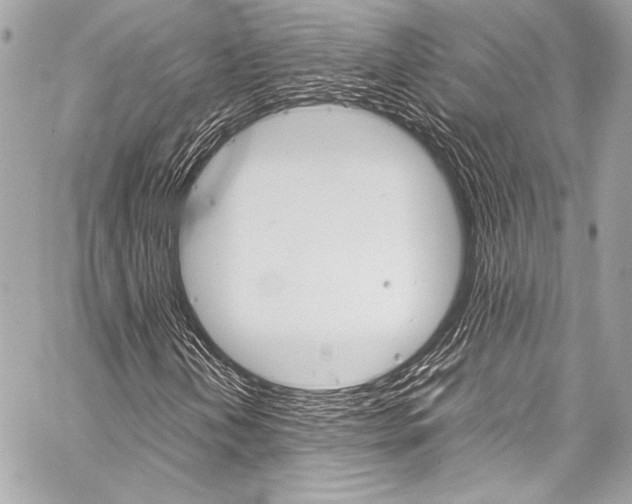X0000059251202200510140837