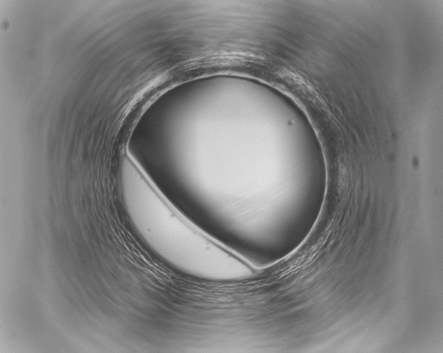 X0000059251210200510140837