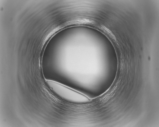 X0000059251226200510140837