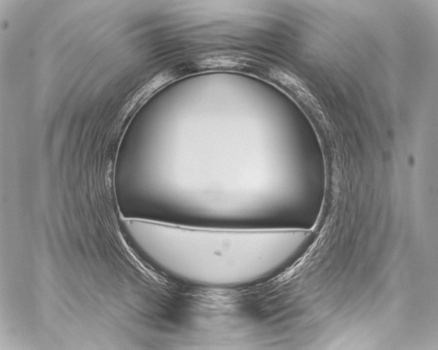 X0000059251233200510140837