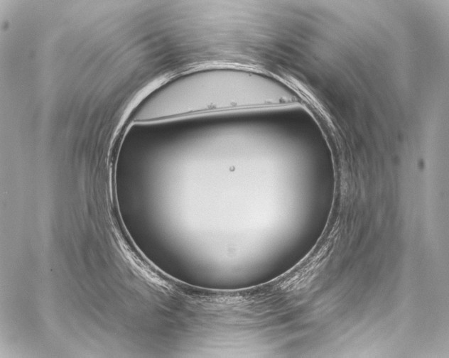 X0000059251238200510140837