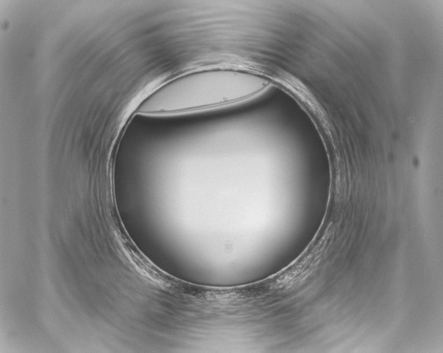 X0000059251242200510140837