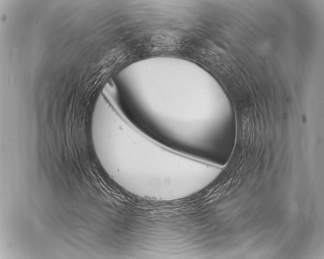 X0000059251250200510140837