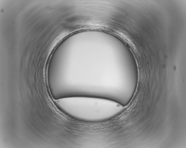 X0000059251283200510140836