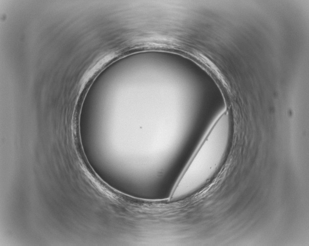 X0000059251285200510140836