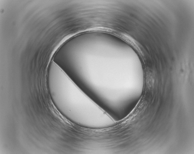 X0000059251292200510140836