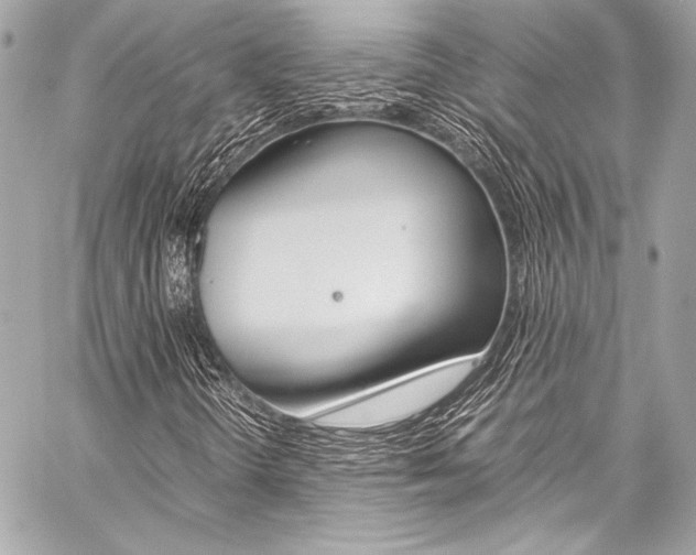 X0000059251298200510140835