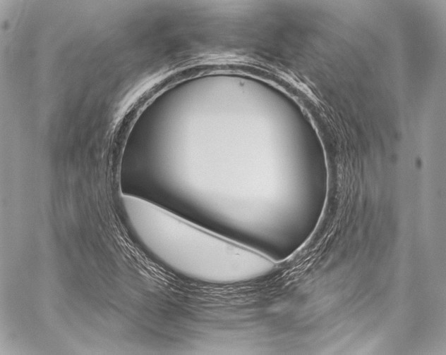 X0000059251311200510140835