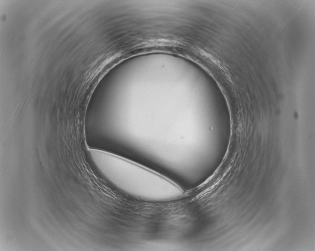 X0000059251313200510140835