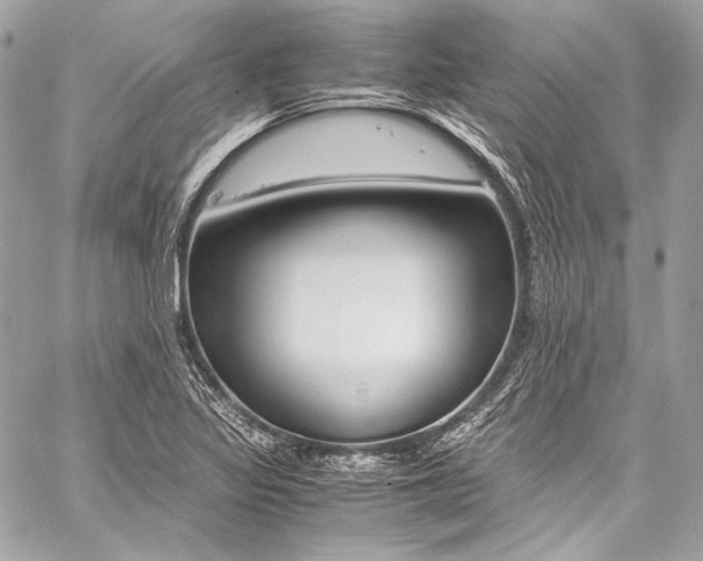 X0000059251317200510140835