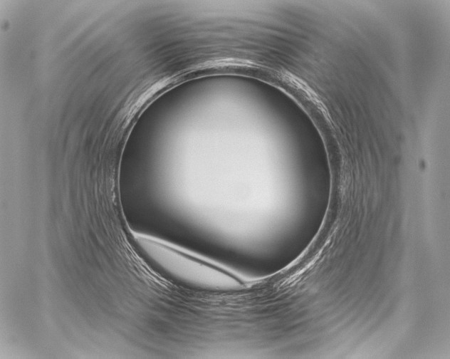 X0000059251321200510140836