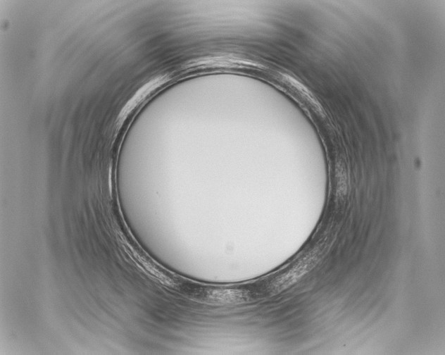 X0000059251322200510140836