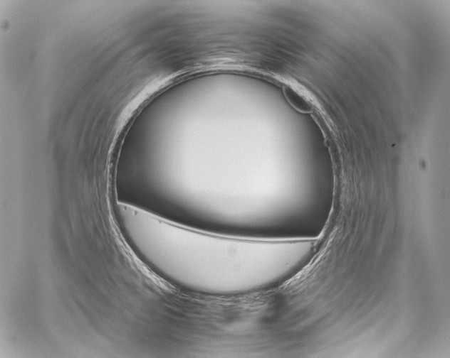 X0000059251333200510140836