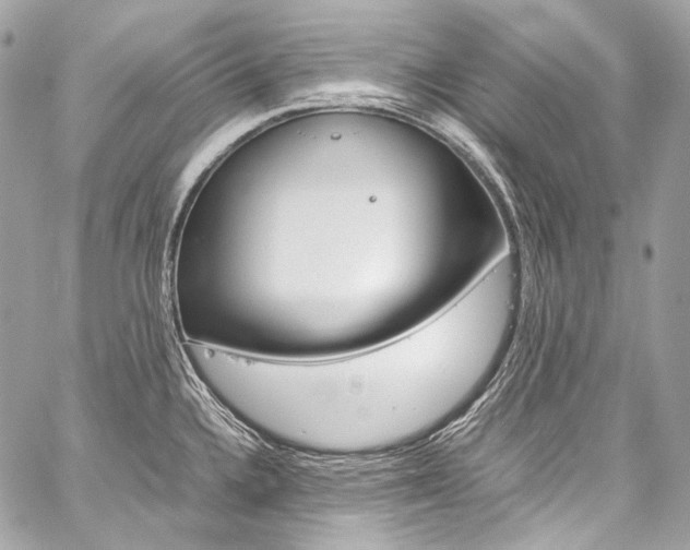 X0000059251336200510140836