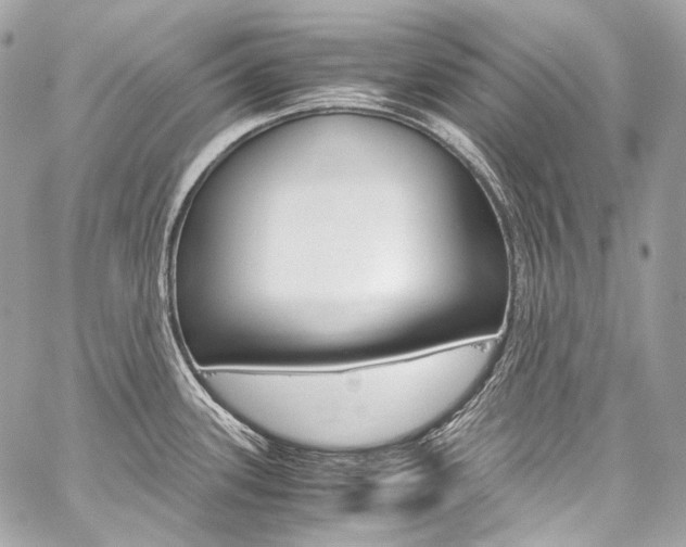 X0000059251339200510140836