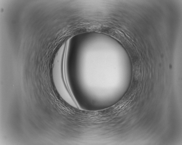 X0000059251345200510140835