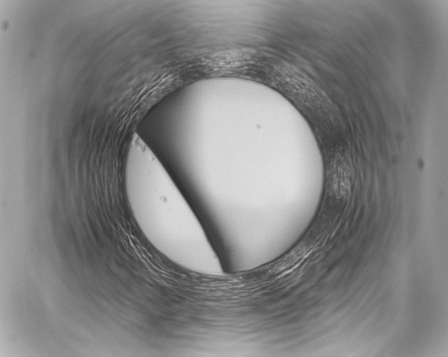 X0000059251346200510140835