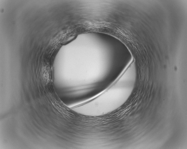 X0000059251348200510140835
