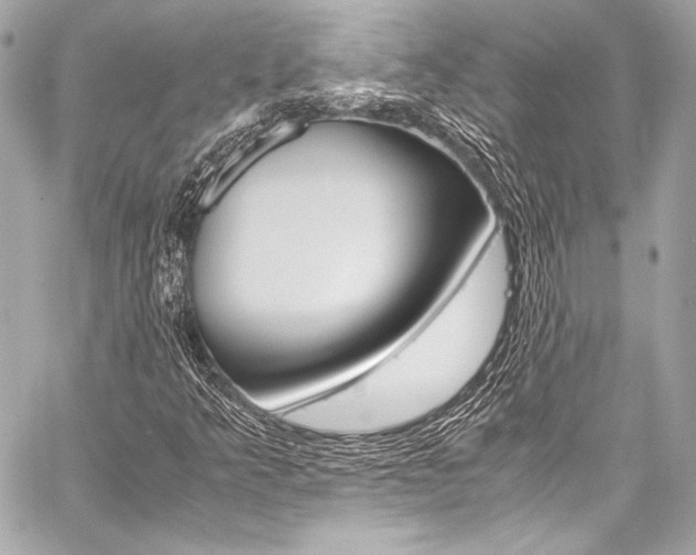 X0000059251349200510140835