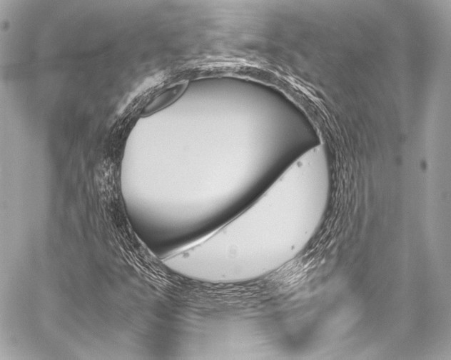 X0000059251351200510140835