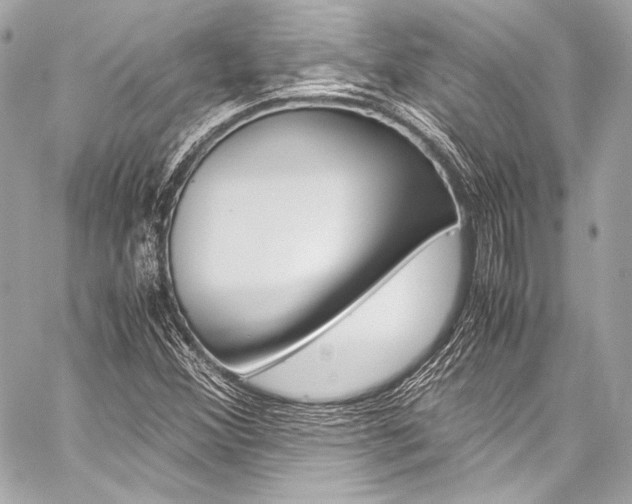 X0000059251356200510140835