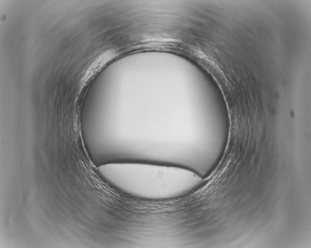 X0000059251362200510140835