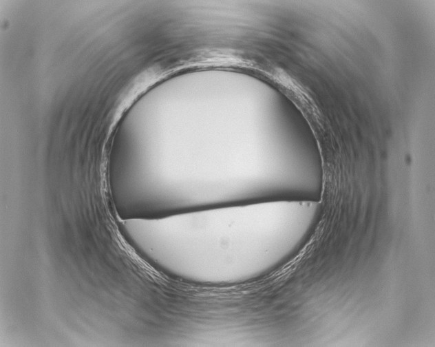 X0000059251374200510140835