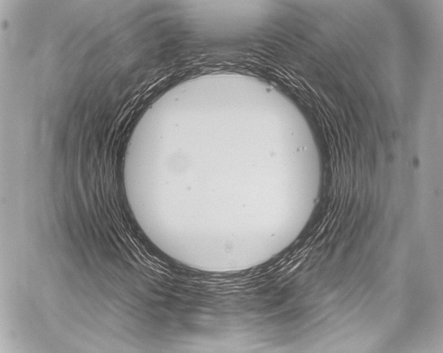 X0000059251394200510140834