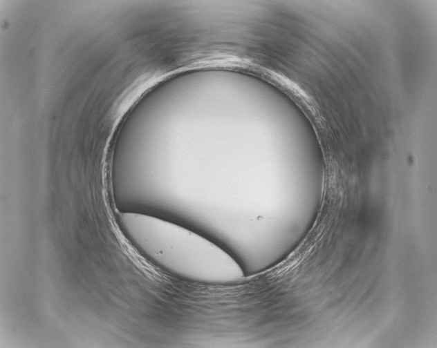X0000059251423200510140834