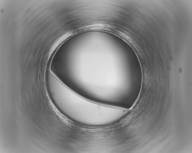 X0000059251426200510140834