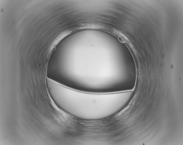X0000059251433200510140834