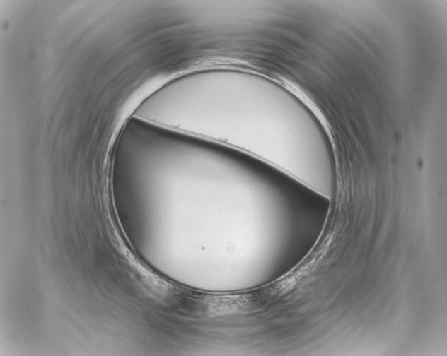 X0000059251437200510140834