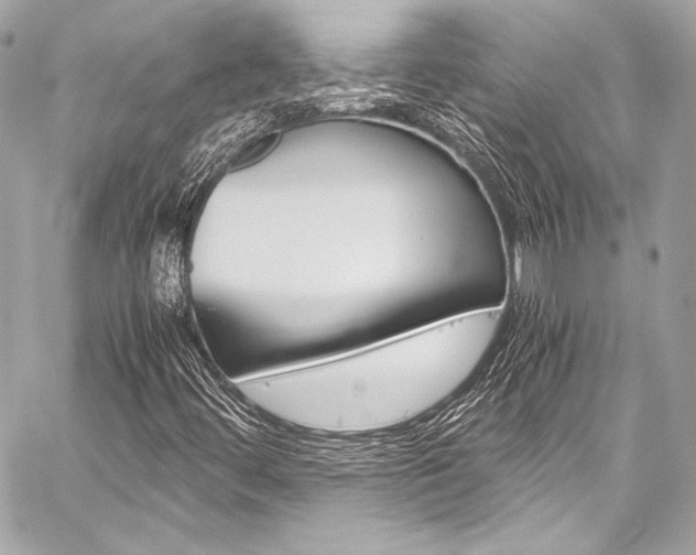 X0000059251444200510140834
