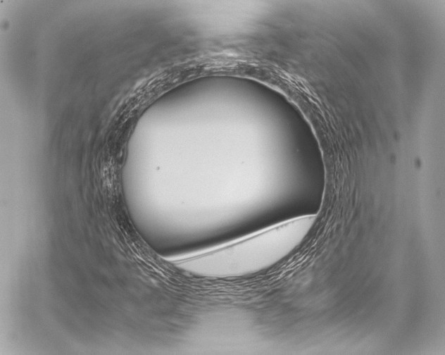 X0000059251445200510140833