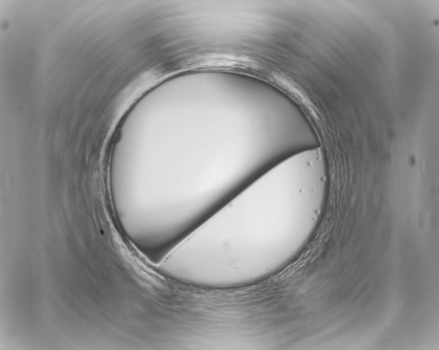 X0000059251475200510140833