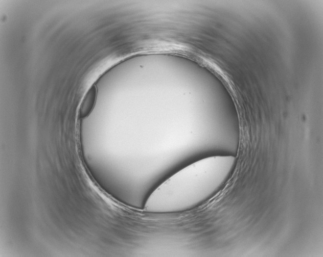 X0000059251487200510140833