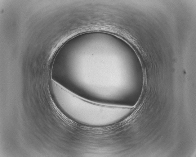 X0000059251500200510140832