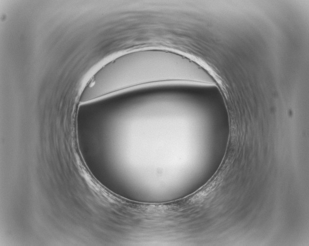X0000059251534200510140833