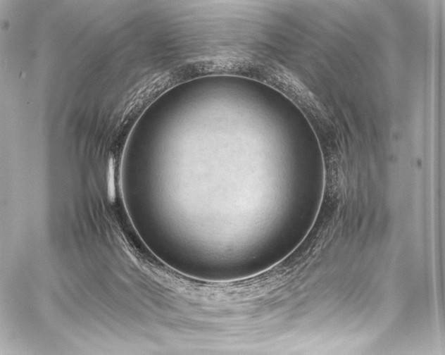 X0000059250022200510141140