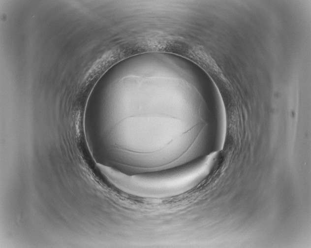 X0000059250023200510141140