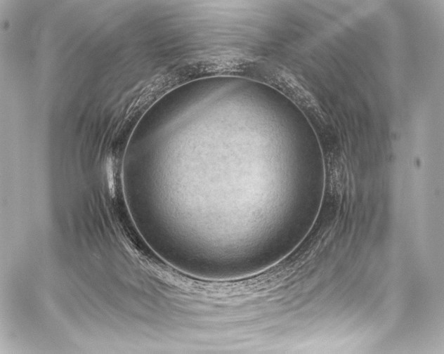 X0000059250026200510141140