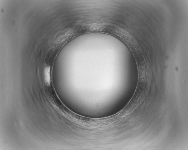 X0000059250028200510141140