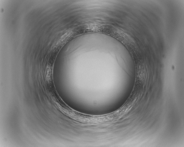 X0000059250036200510141139