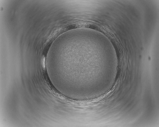X0000059250041200510141139