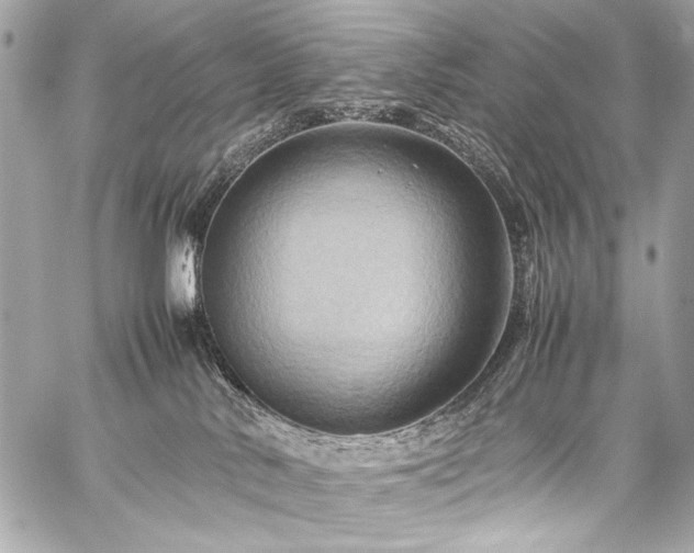 X0000059250042200510141139