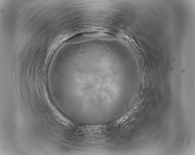 X0000059250049200510141138