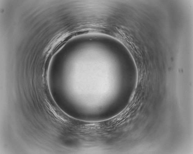 X0000059250050200510141138