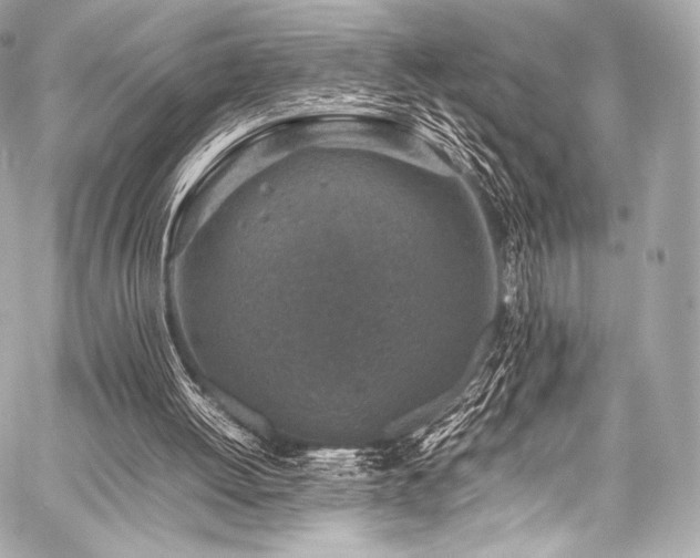 X0000059250052200510141138