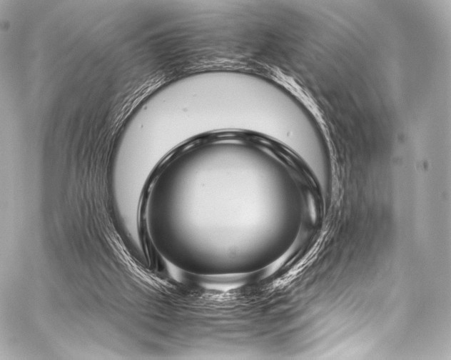 X0000059250057200510141139