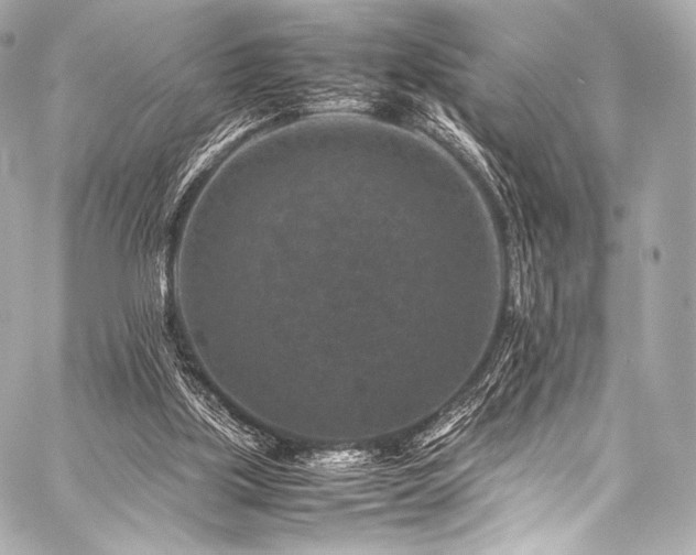 X0000059250059200510141139